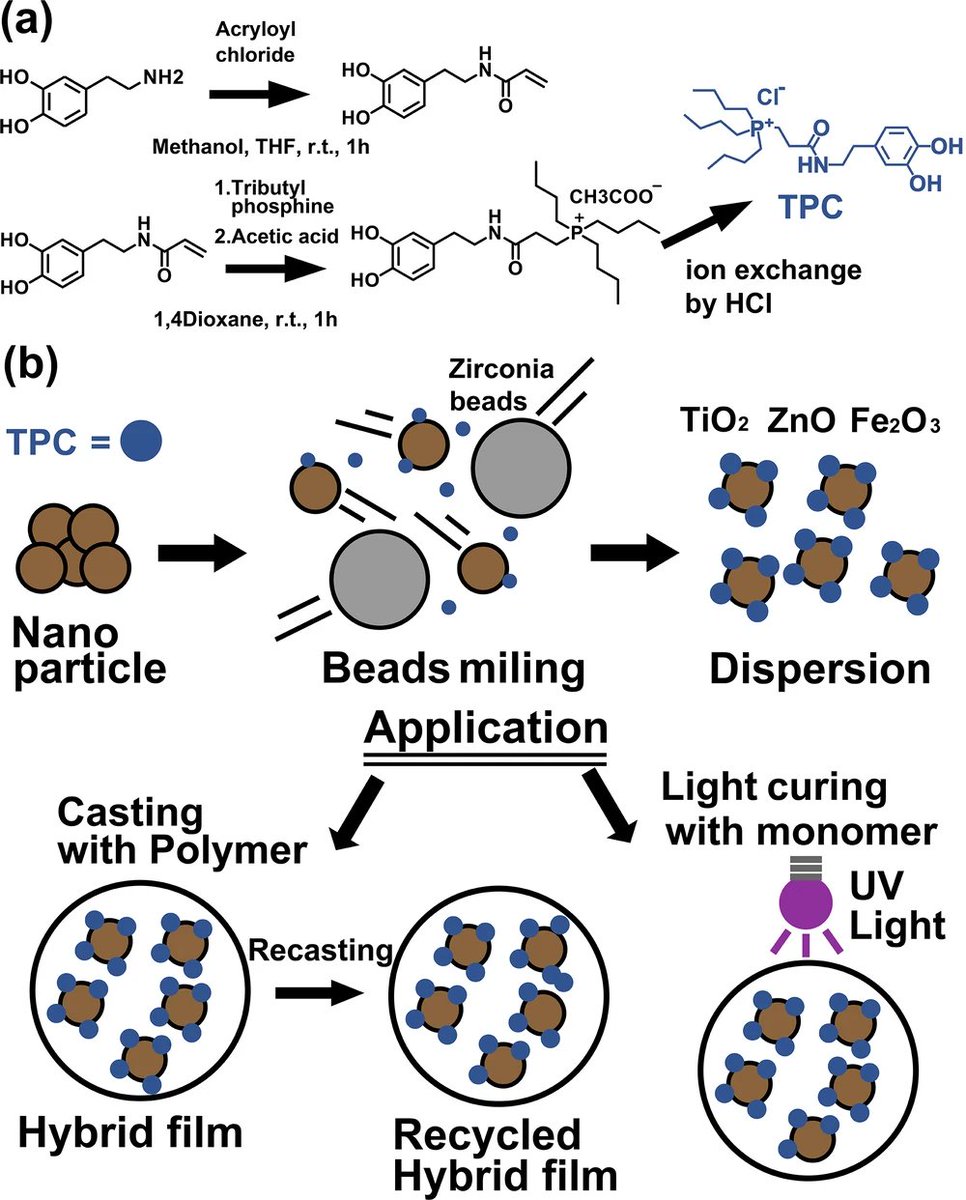 NatureAsia's tweet image. Versatile phosphonium-catechol dispersant for inorganic nanoparticle stability across diverse media and manufacturing processes
nature.com/articles/s4200…
@CommsChem #OA #OpenAccess paper by Shuta Hara, Takao Gunji et al.
@ku_official @ukk_kitakyushu
#Nanoparticles