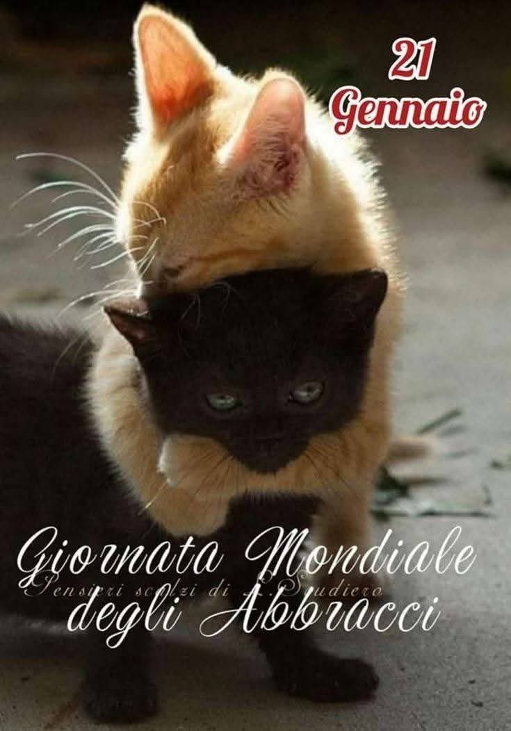 RITABIANCHi56 tweet media