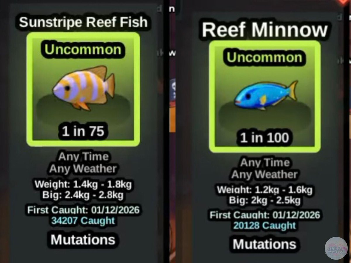 FISH IT FESS ‼️ WTT CANTUMIN UNAME tweet media