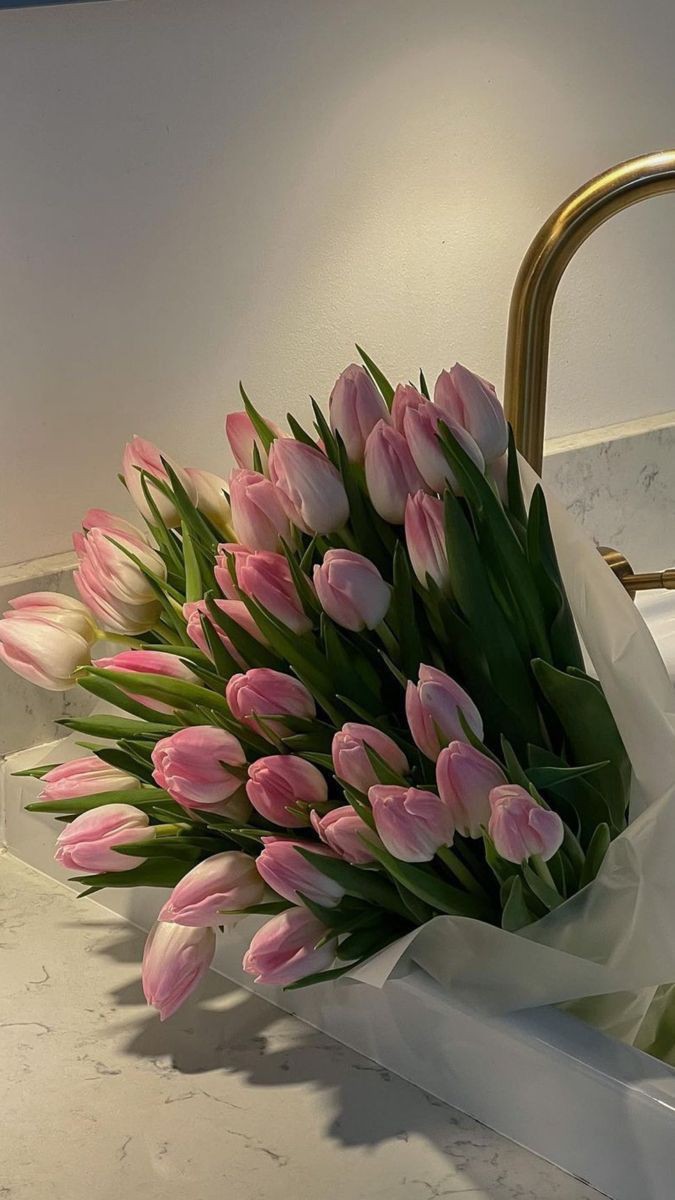 Only Tulips (@tutututututulip) on Twitter photo 