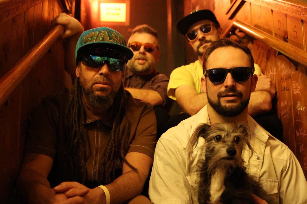 the STYLEES tweet media