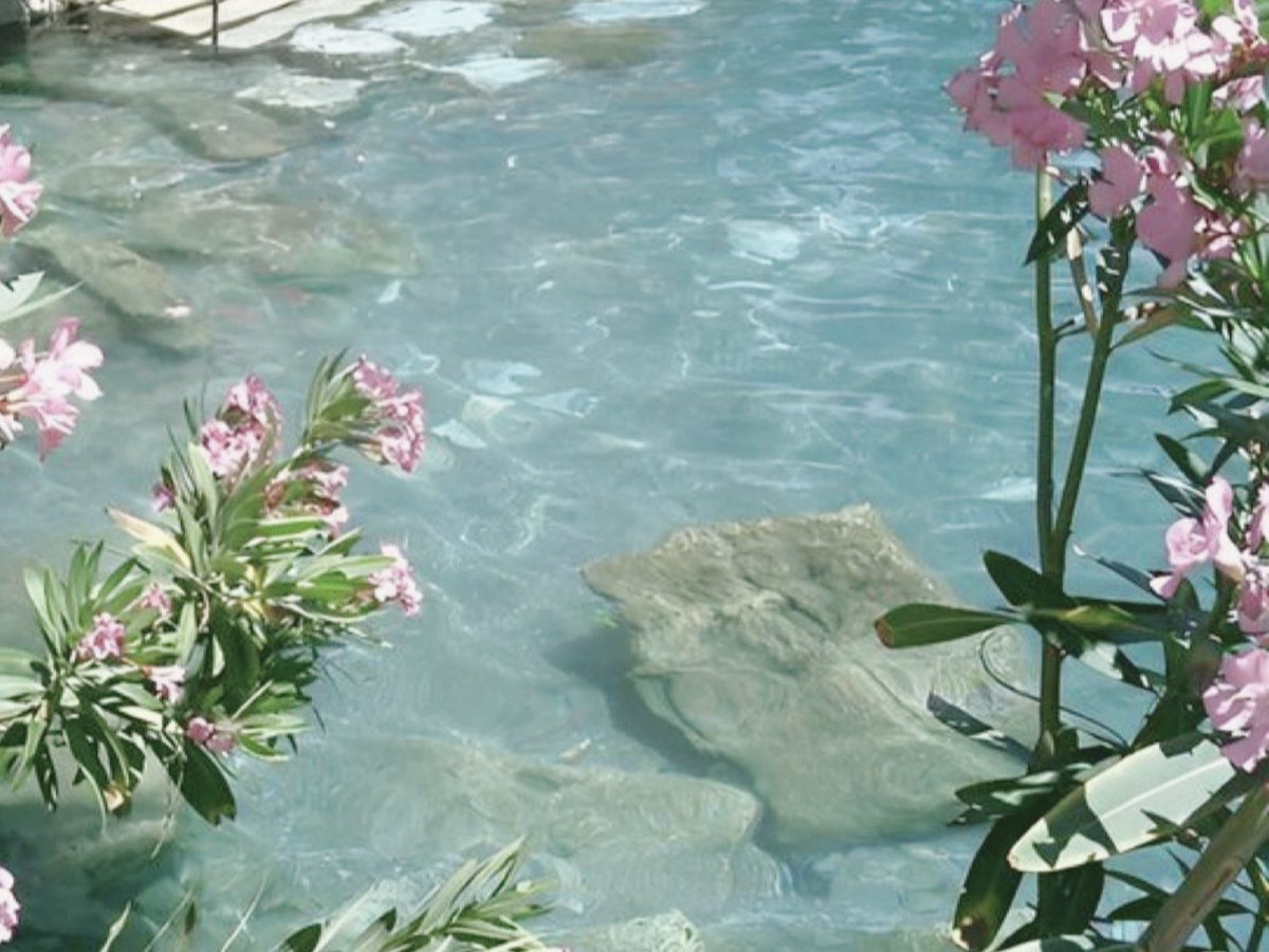 𝖢𝗂𝗄𝗂𝗒. tweet media