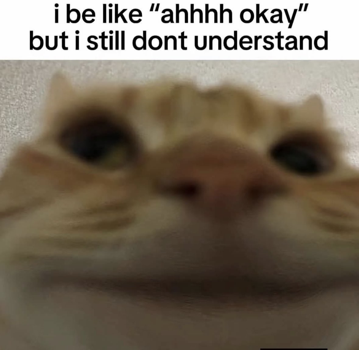 ADHDForReal's tweet image. 