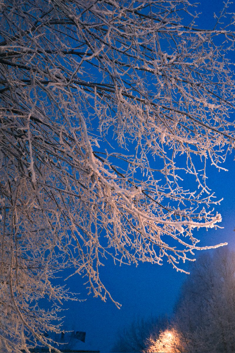 Martins Bergšteins tweet media
