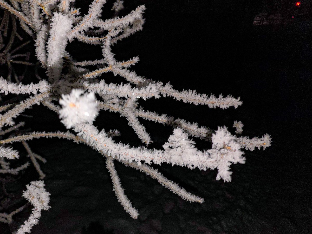 Martins Bergšteins tweet media