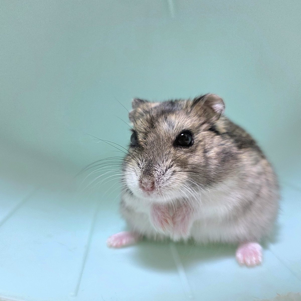 그윽이 모지 먹눈곤가? 마싯나?