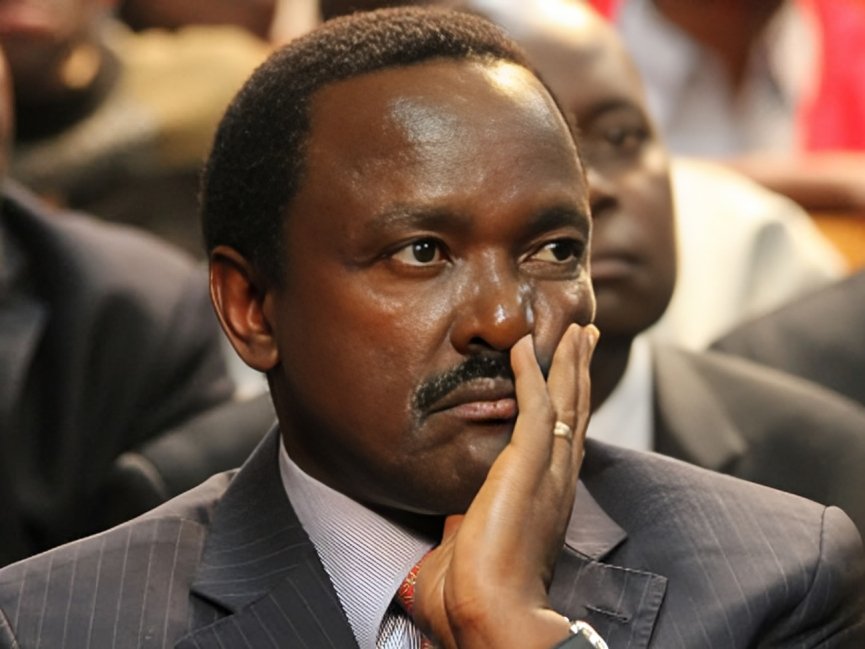 KALONZO Musyoka WILL be the flag BEARER of the United Opposition. ANY other discussion is USELESS. Full STOP!