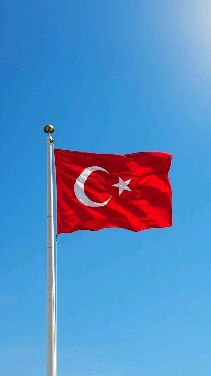 Av. Berk Dokucu tweet media