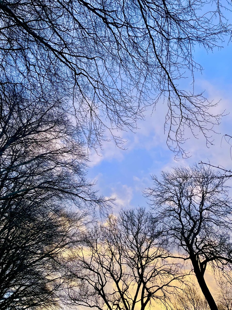 Stifyn1's tweet photo. Way up high #coed #wayuphigh #garden #naturephotography #wednesday #winter #january https://t.co/vRKGnfk1SR