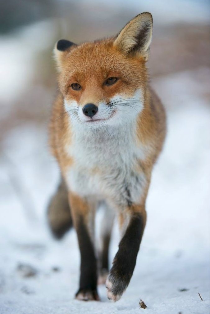 Richard Bowler tweet media