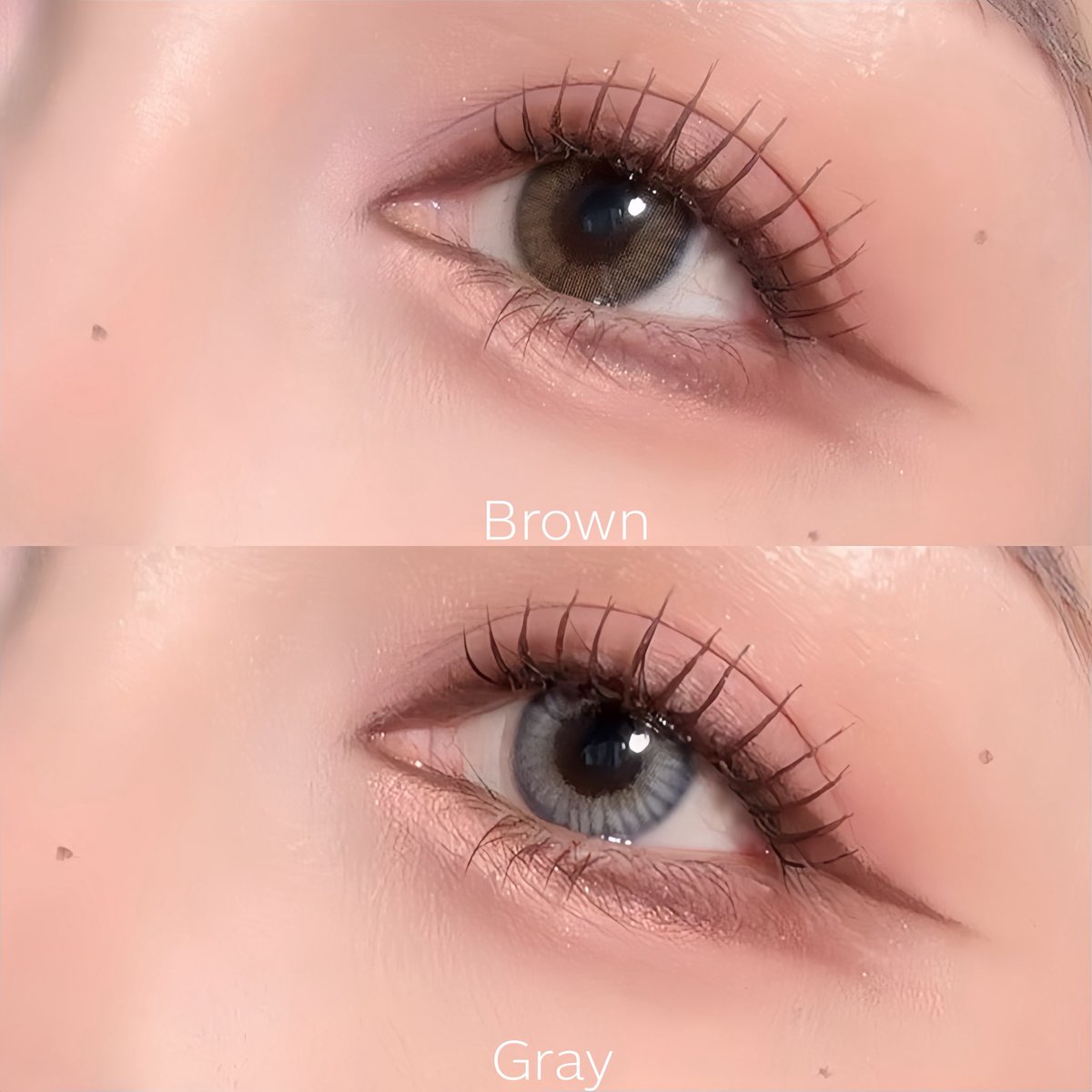 WiJupiter's tweet image. Kitty Kawaii รุ่น Nong Chat สีน้ำตาล,สีเทา สวยมากก✨แล้วโทนนี้ใส่แต่งหน้าขึ้นสุดๆ