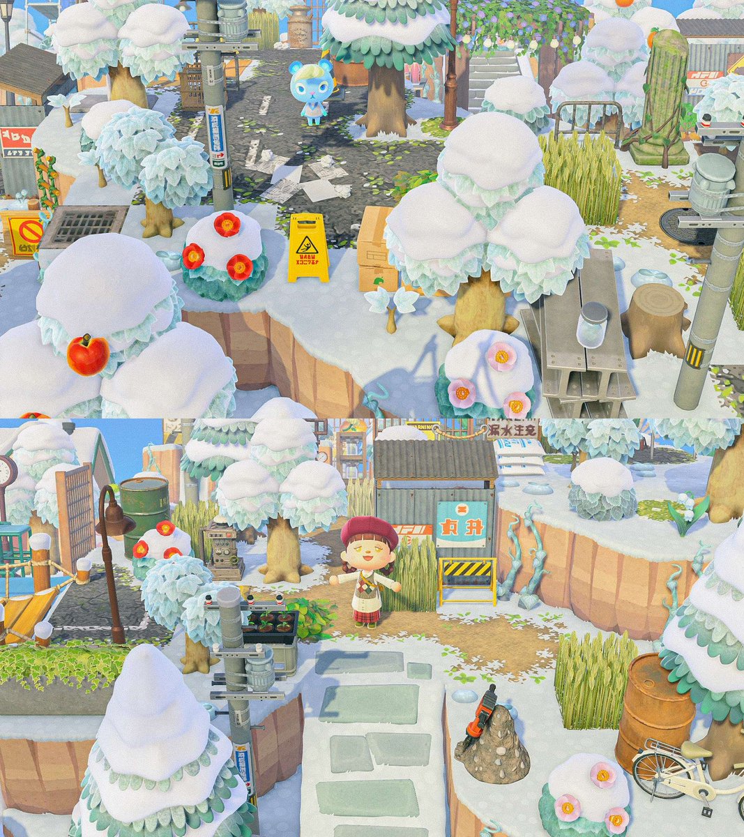 시타 🌱 tweet media