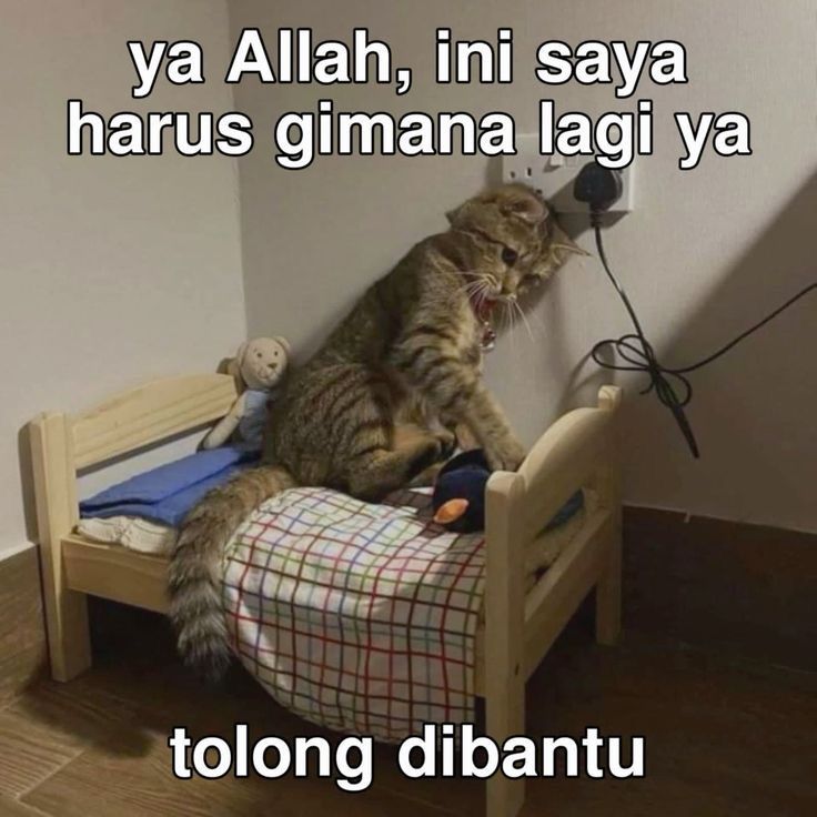 rafikarchmwt's tweet image. 