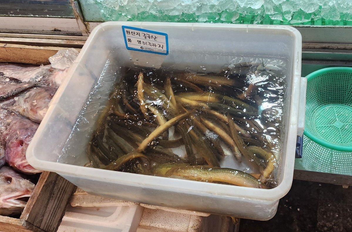 "사장님. 이건 냉동 미꾸라지잖아요"
"아니 방금전까진 헤엄쳤는데?!"