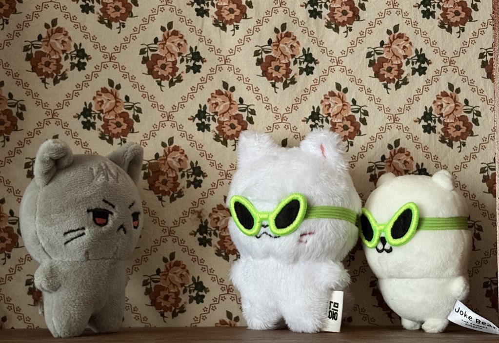 RT이벤트 (발표 23일) 

왹 썬구리 (할인 판매) 5cm &amp; 10cm 착용 가능
롭이어 도트 5cm 블랙 (마지막 판매) 

1/21 21:00 ~ 1/23 23:59 (소진 여부와 관계 없이 마감)
👽witchform.com/deposit_form/9…
반택 출고일 : 24일, 25일