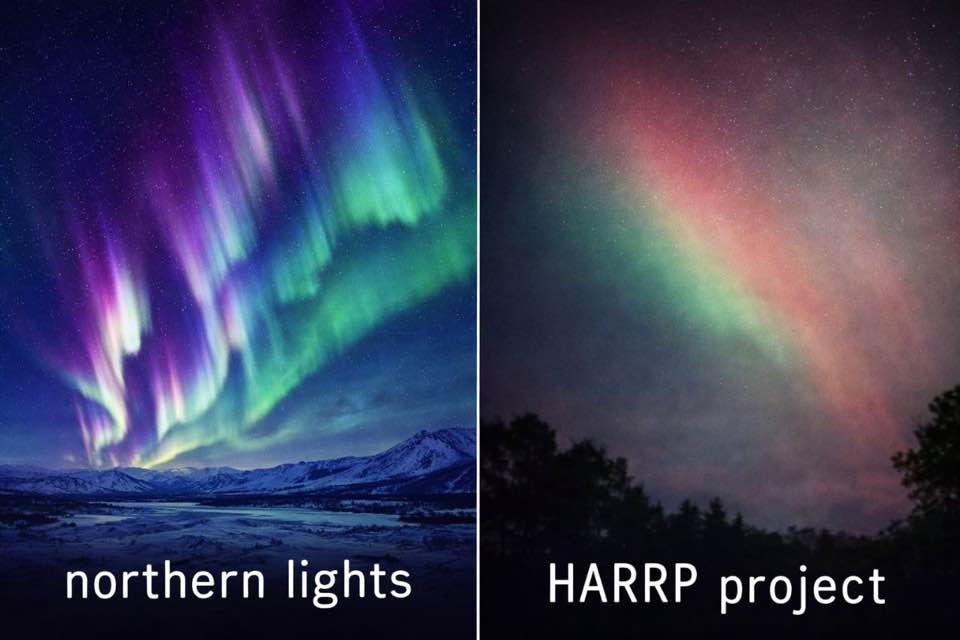 Daniel Gugger 888 tweet media