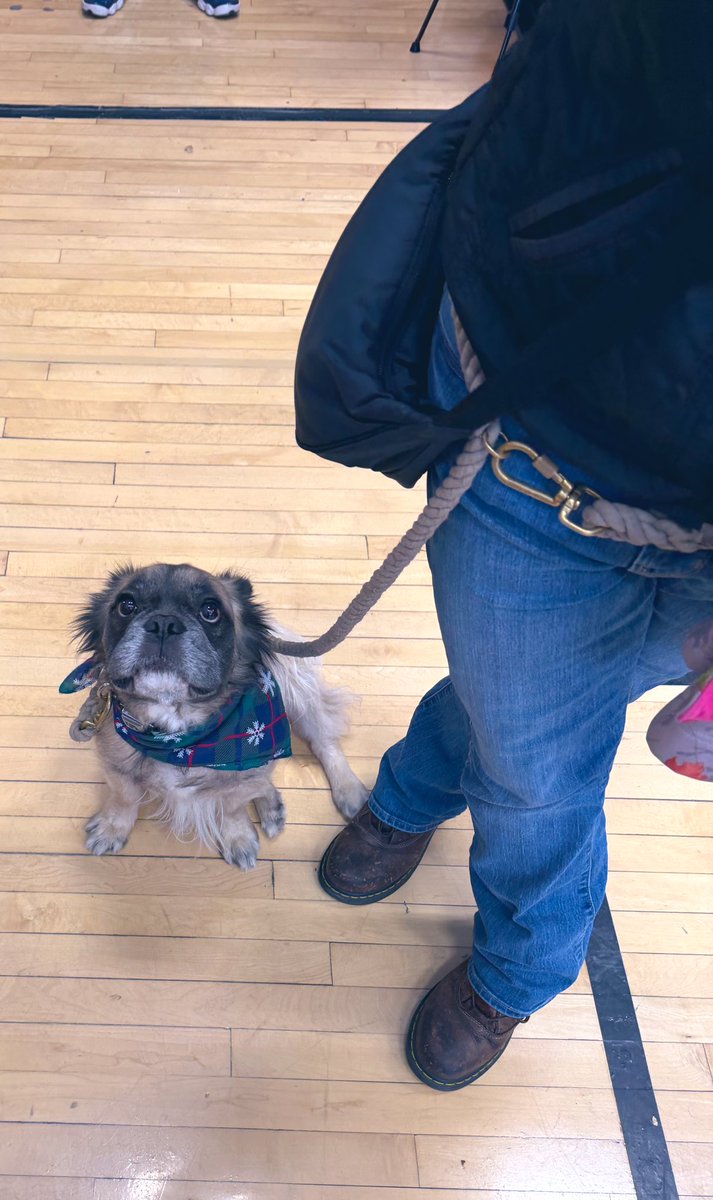 Anna V. Blake tweet media