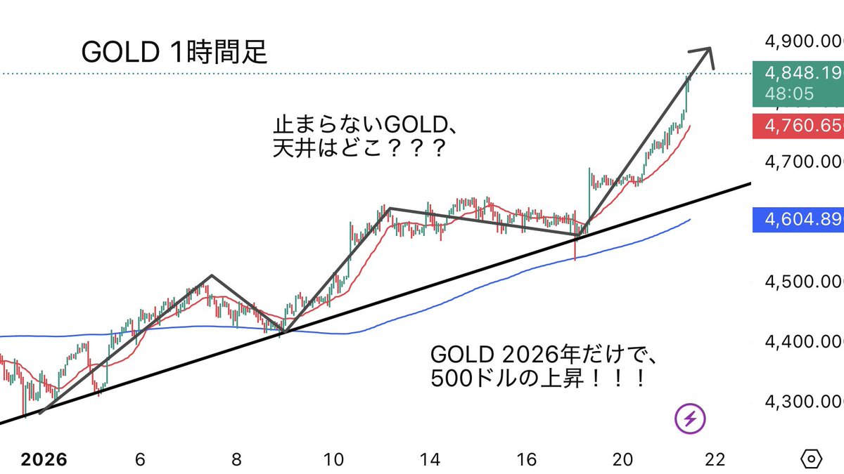 奈々子@FX.仮想通貨 tweet media