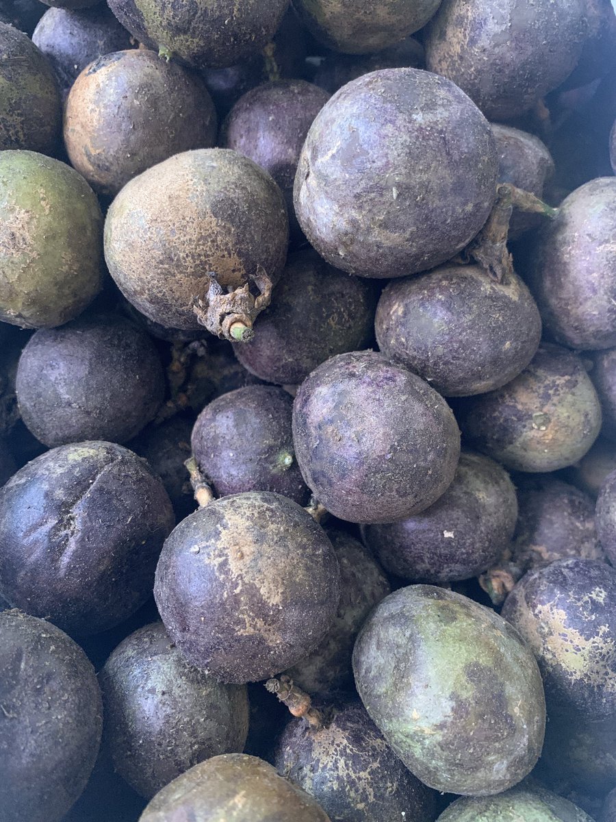 UwayoPaula's tweet photo. Good morning 🤍
We have the best juicy ripe passion fruits selling at 50 pieces for 10,000Ugx.

We are located at Kafumbe mukasa road, Owino.
Contact. 0787765485 watsap and calls.

For Both Retail and Whole sale. https://t.co/honXRlHwwy