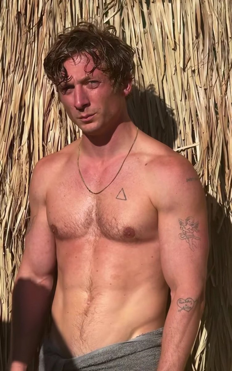 hourly jeremy allen white tweet media