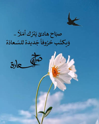 محمد عبدالله احمد الفالح ابو عبدالله (@mohammadalf2017) on Twitter photo 