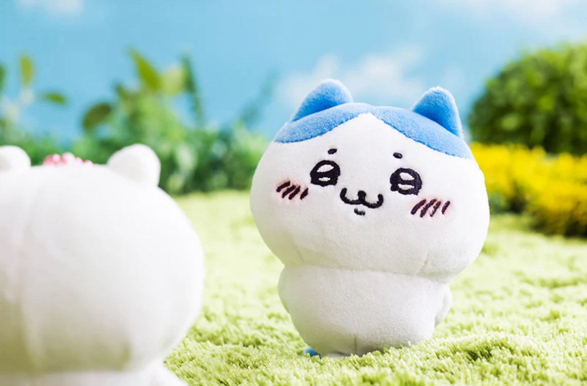 しぇいこん (@jyugonwife) / Posts / X