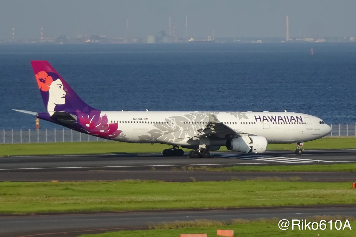 Blue751A's tweet image. #これを見た人は何か紫のものをあげる見た人強制