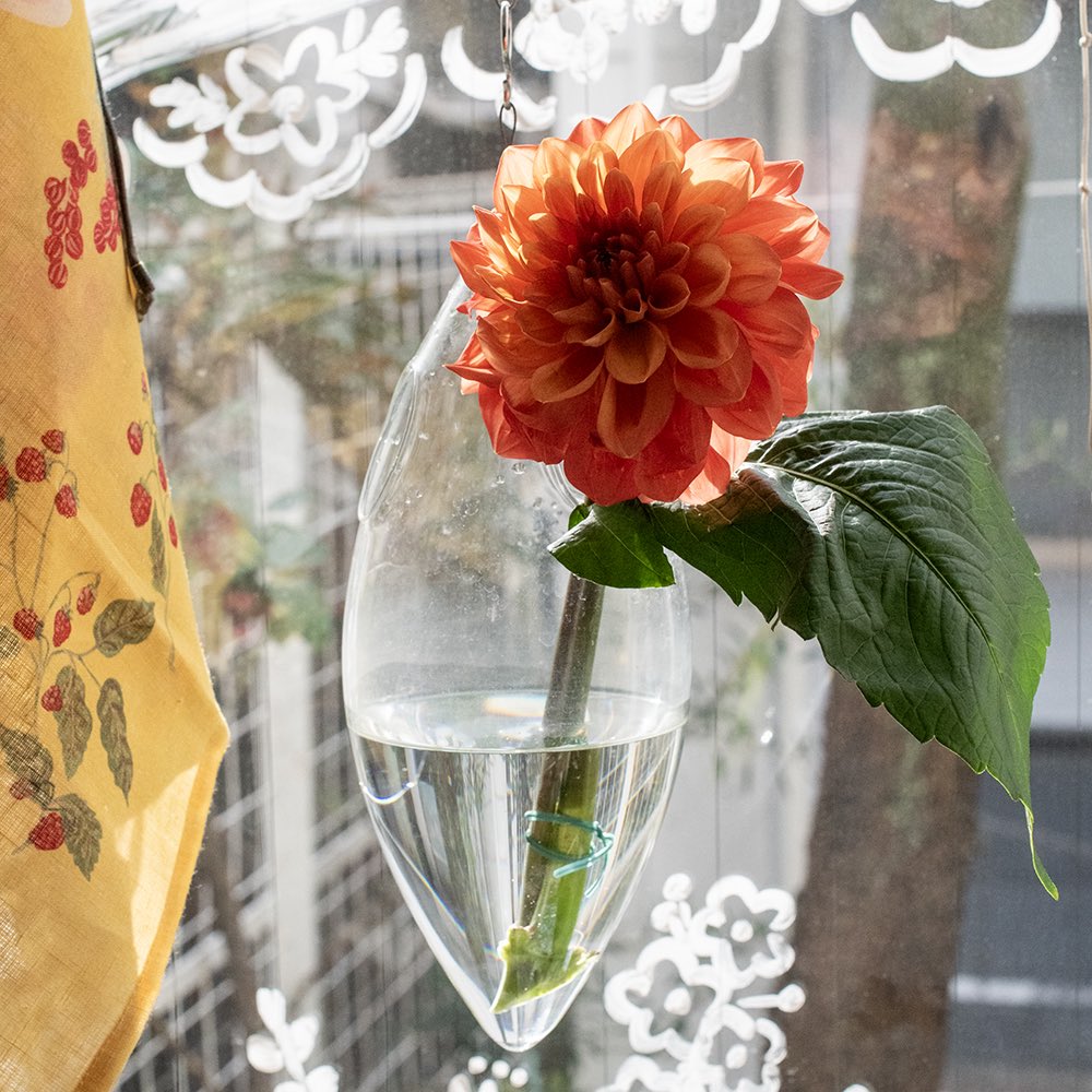 douxdimanche's tweet image. こんにちは🇫🇷今日も6PMまで、みなさまのお越しをお待ちしています

ツェツェ・アソシエ 「四月の花器」と「なまけものの花器」は、植物をさすだけで簡単にフラワーアレンジが楽しめる花器💐

そろそろ春のお花も出回る時期。季節のお花をご自宅でも取り入れてみてくださいね
2dimanche.shop-pro.jp/?mode=cate&amp;amp;cbi…