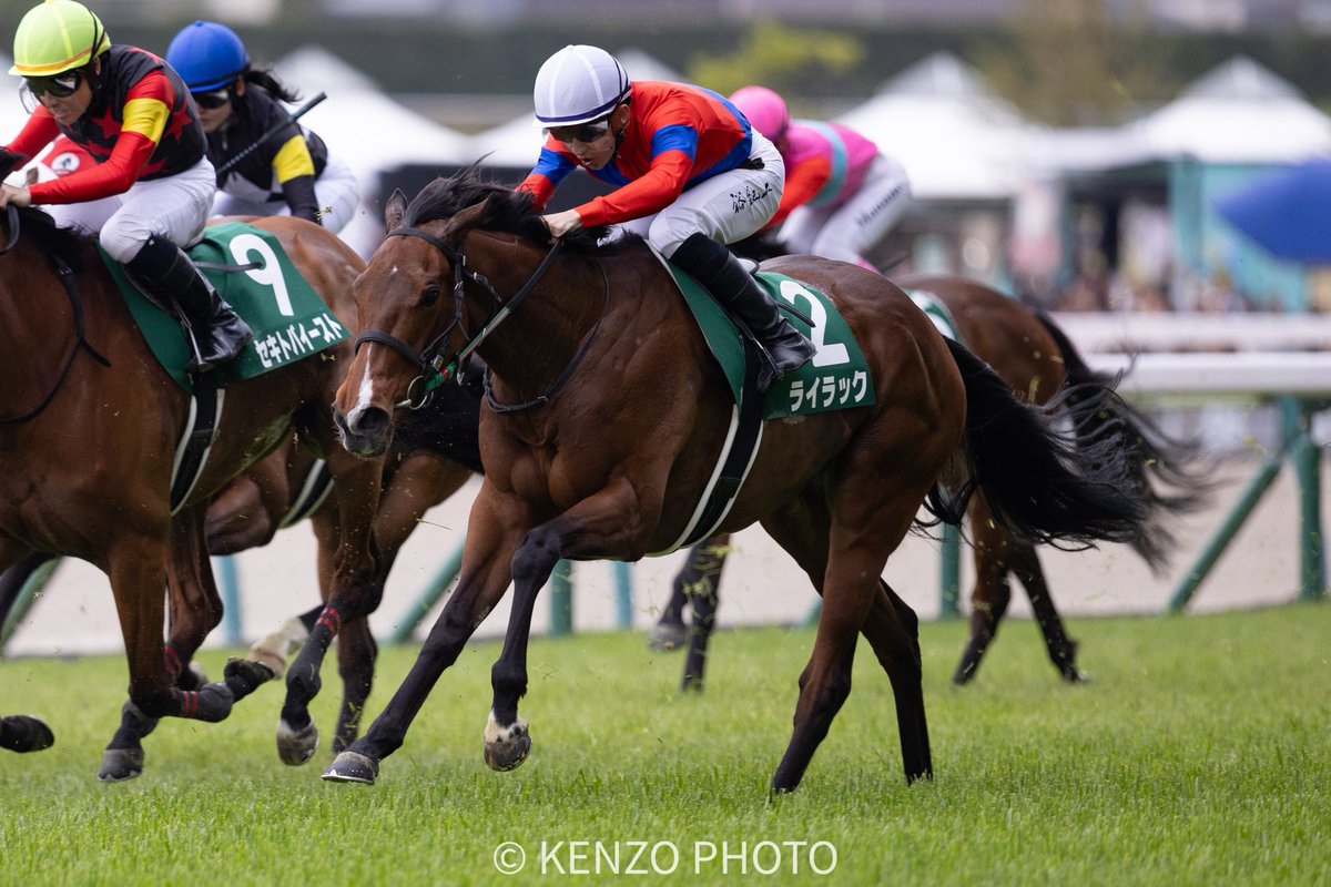 けぞんくうん tweet media