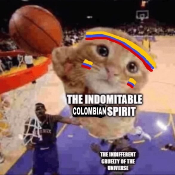 Este año final de mundial <a href="/FCFSeleccionCol/">Selección Colombia</a> no espero menos 🇨🇴🇨🇴