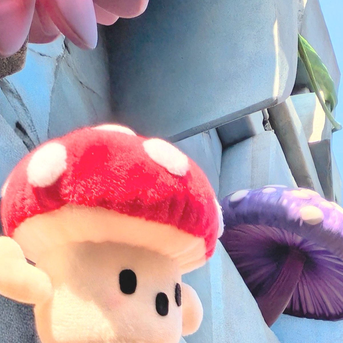 自作ぬい（毒きのこちゃん） コレクション 自作ぬい（毒きのこちゃん