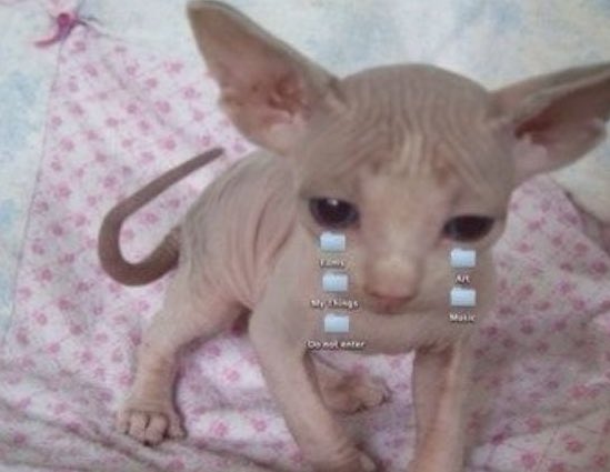 ⊹♡ .soso. 🦴 ˖୨୧⋆* tweet media
