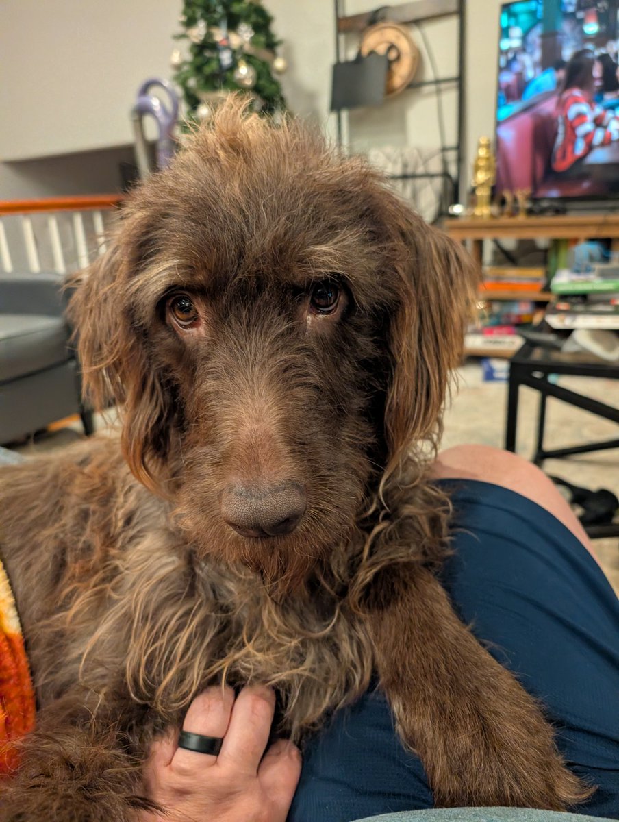 Scott Bradford is getting published! *querying too tweet media