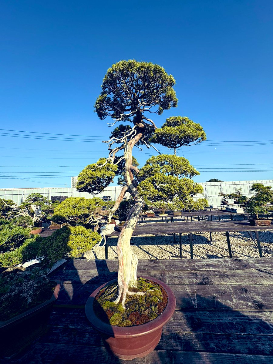 s60 Presents【ZASSO./OHANA】 (@zasso_session60) / Posts / X