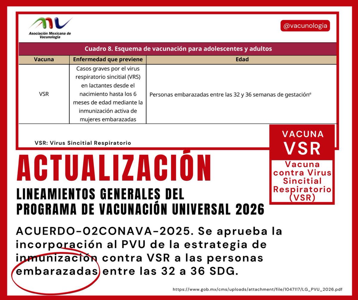 vacunologia's tweet photo. 🎉 México da un paso clave para proteger a bebés desde el embarazo 🇲🇽💉
El PVU 2026 incorpora la vacunación contra VSR en embarazadas (32–36 SDG), reduciendo bronquiolitis, neumonía y hospitalizaciones en los primeros meses de vida. Prevención basada en evidencia que salva vidas. https://t.co/yGCJkjNMRJ