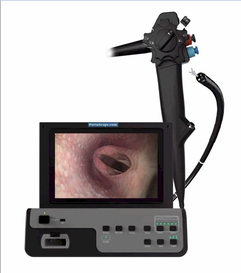 1800endoscope.com tweet media