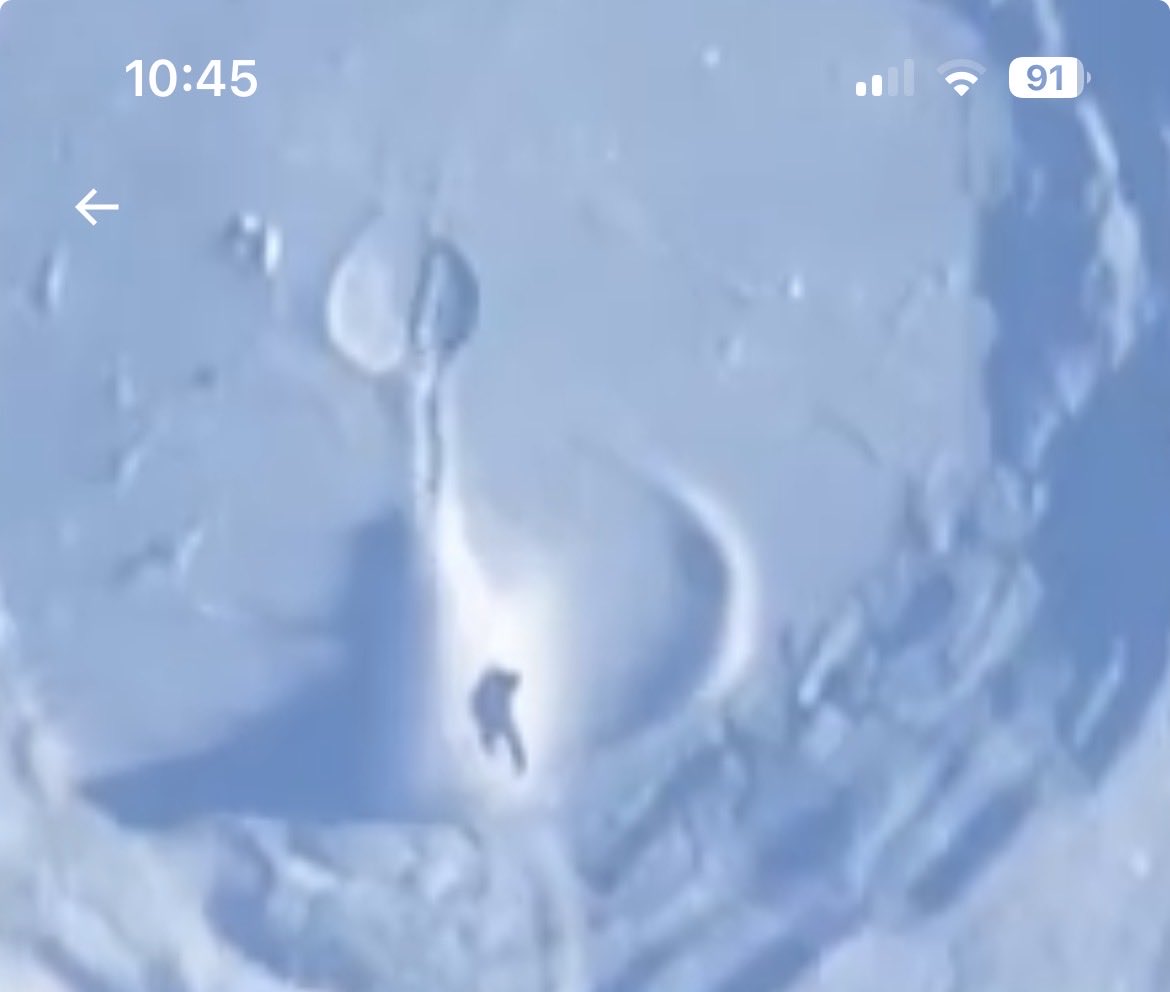 SamanthaJBryant tweet media