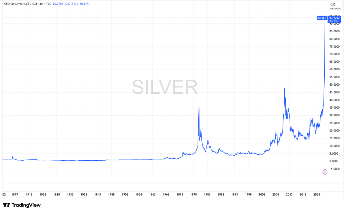 Paola Rojas 🐝 tweet media