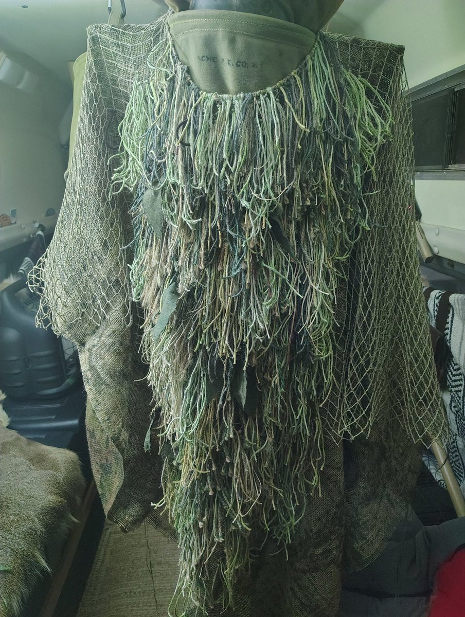 🌿🦋🍂Frog 🍄🪲🪶 tweet media