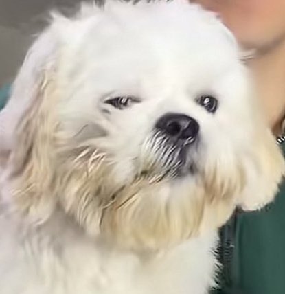 El comandante R pasó de escuchar: ay babosho, pinshi prro babosho🥹

A escuchar:ven vamos a grabar para tener visitas😡