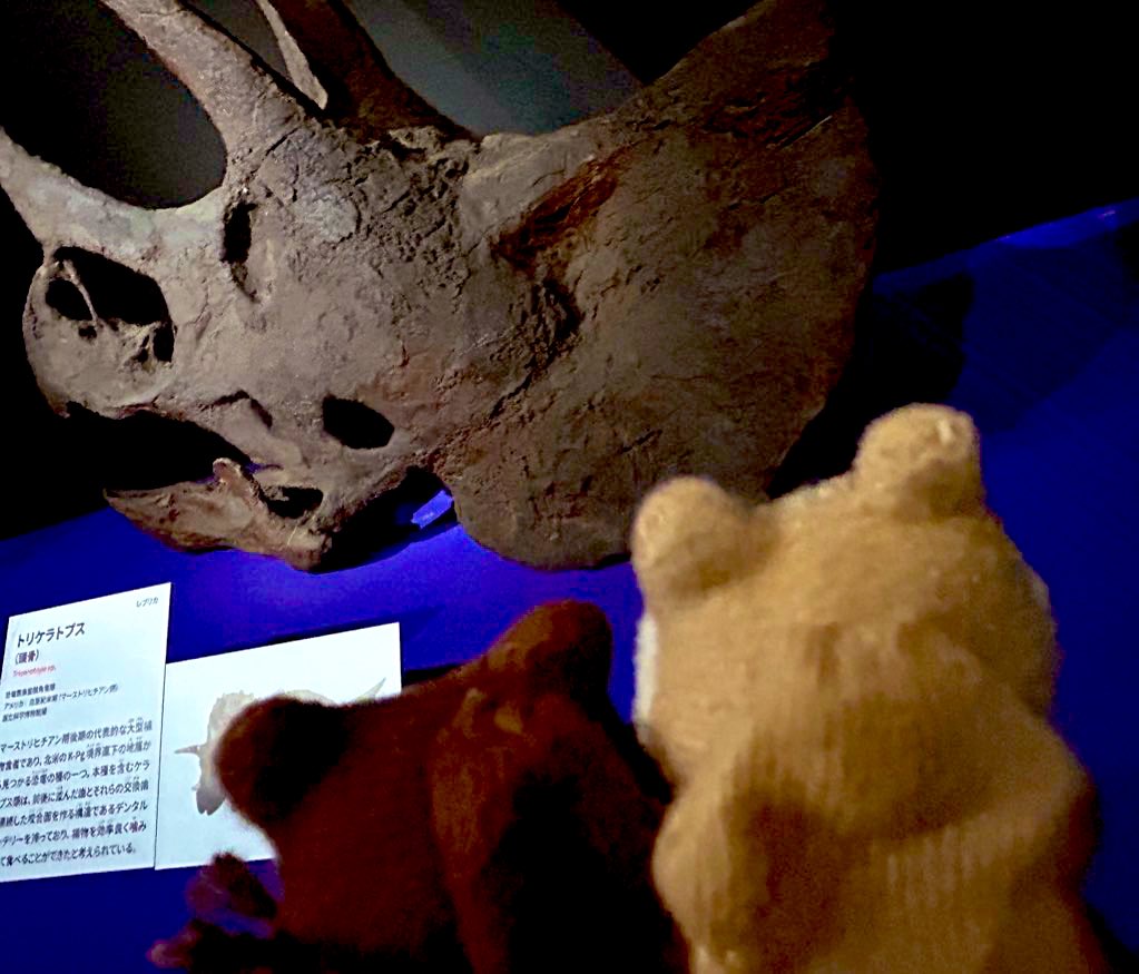 てんちょうさん、はるかに大きい生き物ですよ
ぽここーん、めちゃくちゃデカい生き物だよ