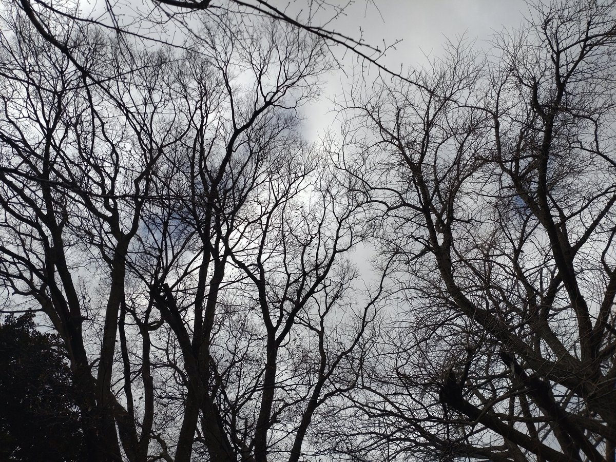 mint06sun's tweet image. 鳥が何かを落としている

危険🫤