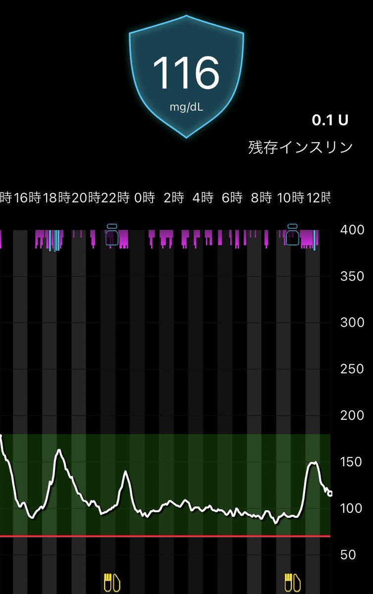 シックデイとは…
いつもより安定してるのなんで🥺

てか全然実測してない…
次の食事の時は実測しよう。。