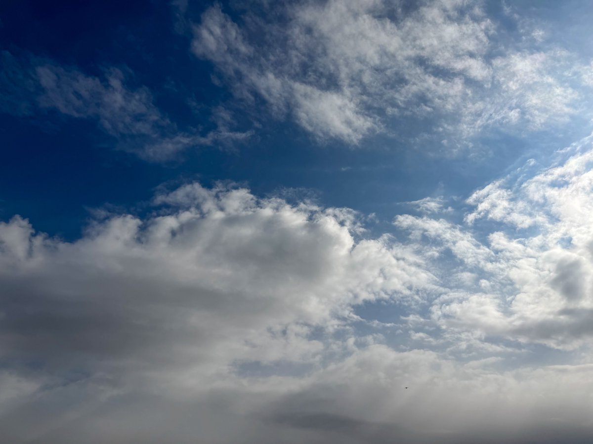 20260121
晴れてきたが大寒波襲来か
雪降らないといいな❄️

#photograghy #写真好きな人と繋がりたい #キリトリセカイ #イマソラ