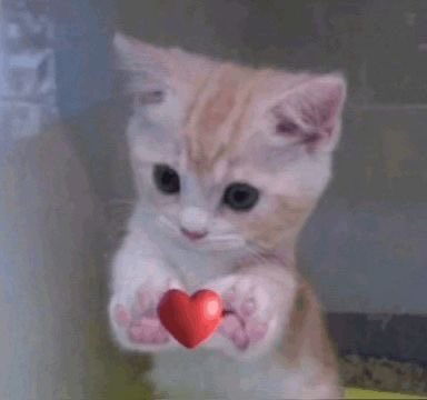 Kitty5y's tweet photo. @m1tsuy0o Omg me plsss https://t.co/XwN1VzBMNw