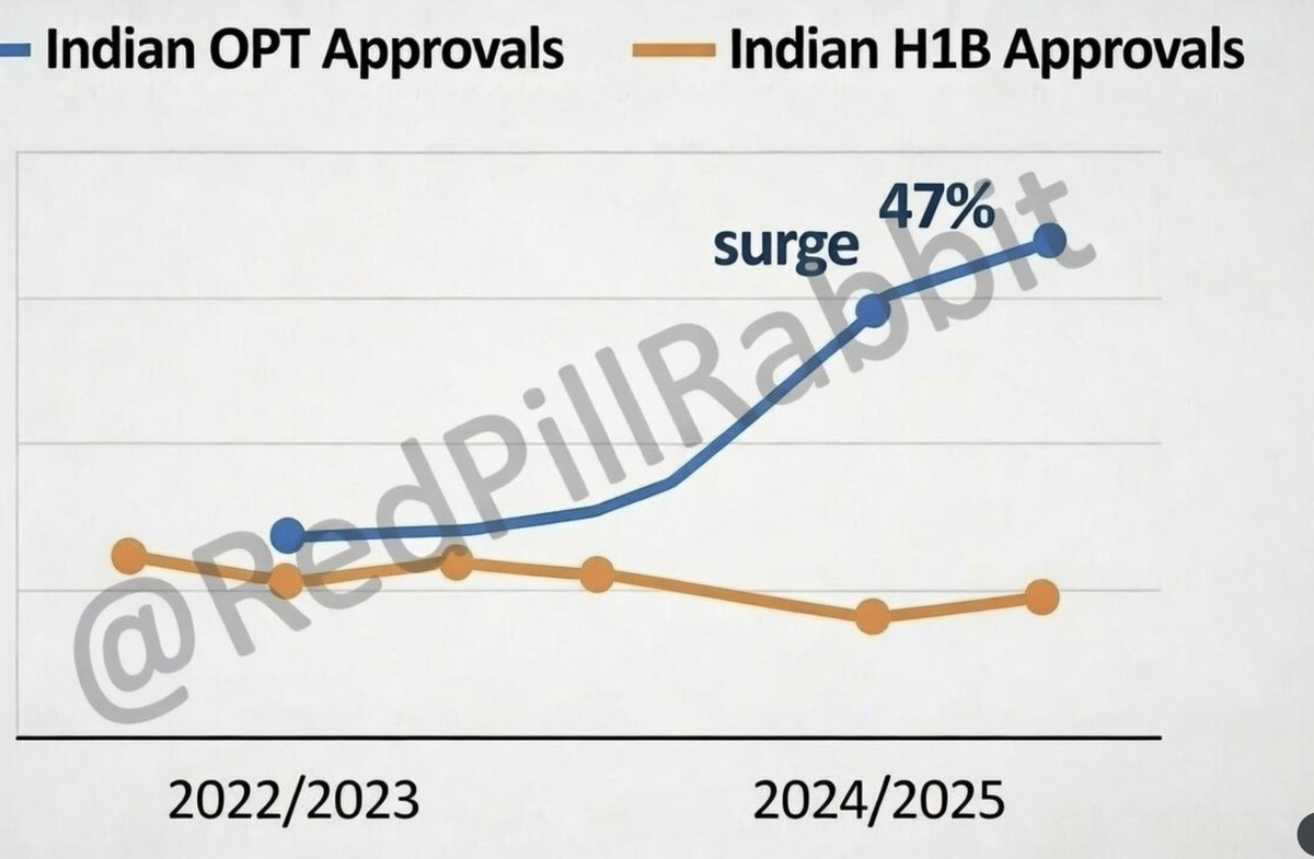 RedPillRabbit's tweet photo. 🚨🚨 INDIANS ARE NOW USING THE OPT VISA BECAUSE THE H1B HAS CAUGHT THE PUBLIC'S ATTENTION.

THERE'S NOW A MAJOR SURGE IN INDIAN OPT VISAS! 

ALL INDIAN VISAS ARE FRAUD! https://t.co/bhYuXKLtjk