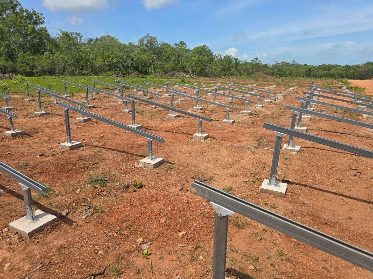 Delphinus Lab ($ZKWASM) tweet media