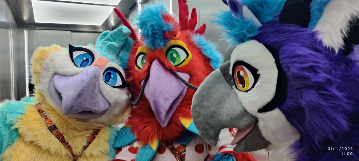 GIL THE PHOENIX & CO tweet media