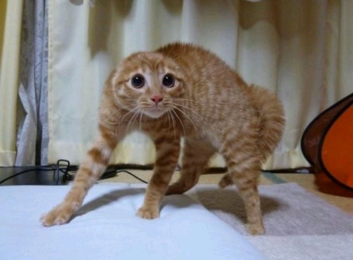 This song is really fucking suggestive for no reason