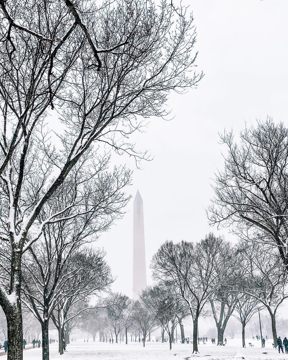 washingtondc's tweet image. Are you Team Pink 🌸 or Team White🤍?

📍Washington Monument

📸: julitmart, toupinator / IG #Only1DC